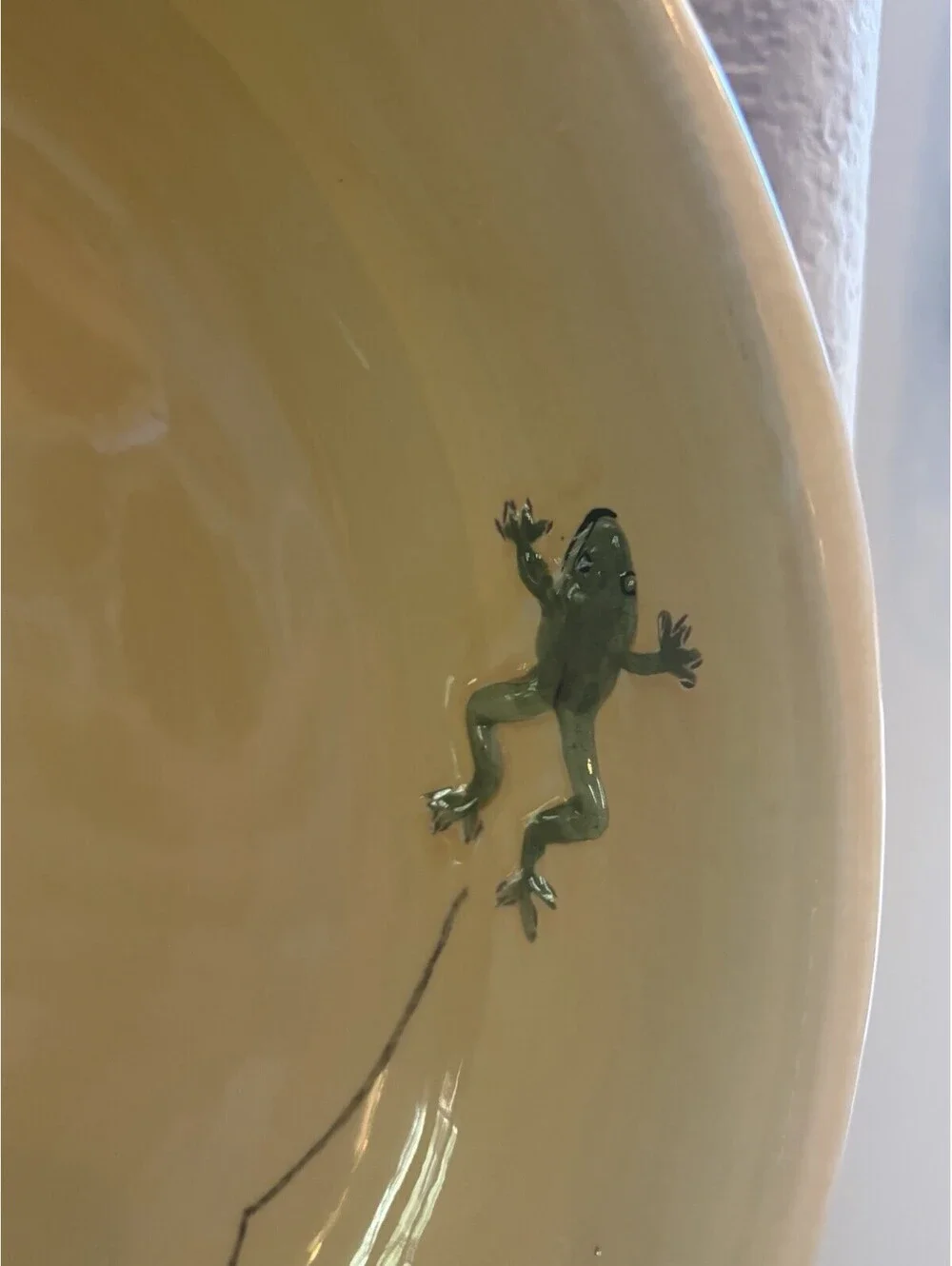 Frog Round Serving Platter by Pottery Barn Yellow / Cream & Green